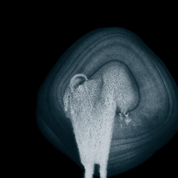 Deepening the Mystery n˚39 Indigo / Limited edition 70x80cm / ChromaLuxe® Fine Art print on aluminium