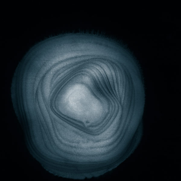 Deepening the Mystery n˚38 Indigo / Limited edition 70x80cm / ChromaLuxe® Fine Art print on aluminium