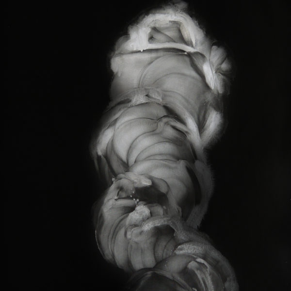 Uncoiling n˚1 / 100x75cm / Metallic pigments, ink and acrylic medium on Fabriano Paper