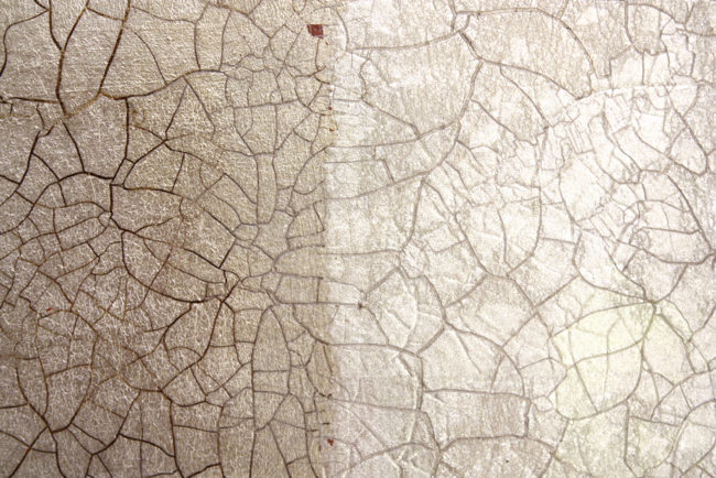 Image 04 - 120x90 - Claire Burke