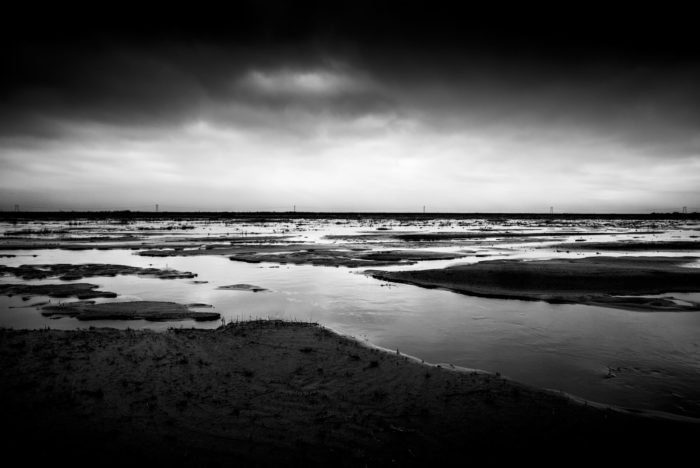 Water Study #4