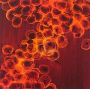 Orange Mystery of Life #13 - Framed