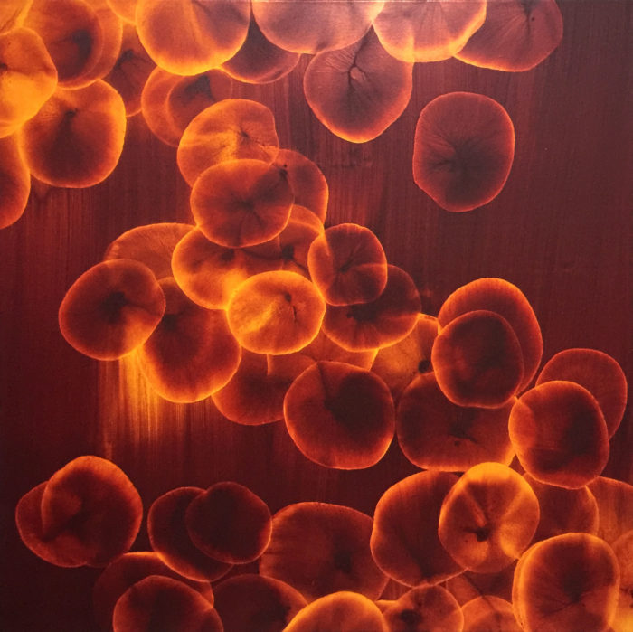 Orange Mystery of Life #4 - Framed