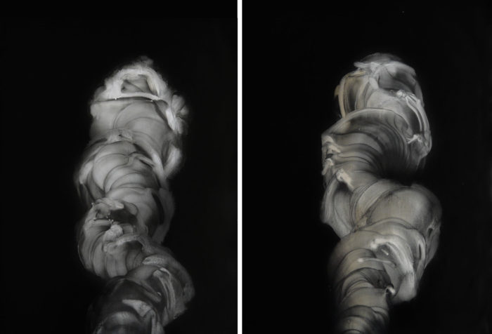 Uncoiling 1 and 2 - to be sold as a pair - Framed