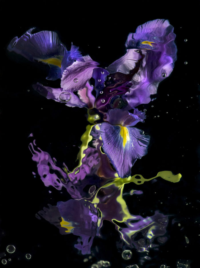 Aqua Flora No.10
