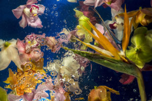 Aqua Flora No.2