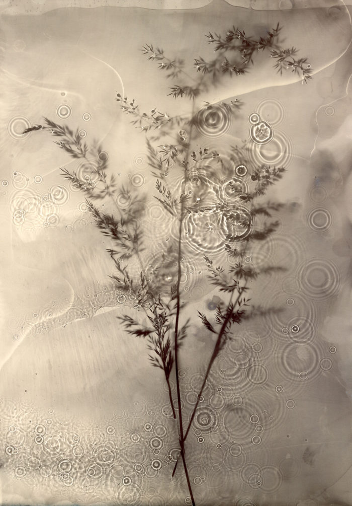 Fade into Light 008
