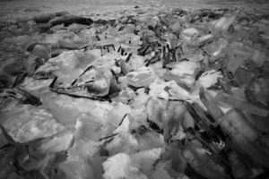 Baikal #5