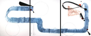 Blue Line Triptych