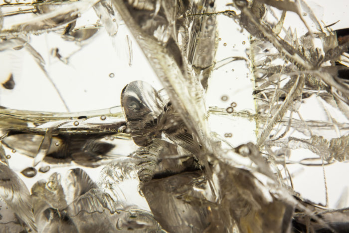 Synthesis L1 - Image 7