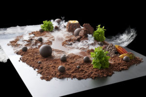 Los Bollas de Costa Rica - Edible Landscape