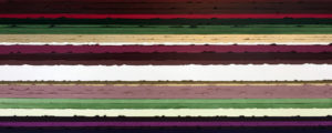 Stripes - Antique Roses