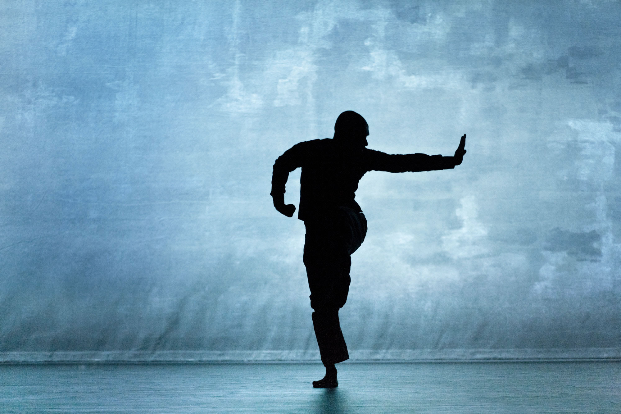 Richard Haughton - Akram Khan Desh