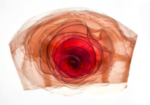 Richard Haughton - Valentino Rose di Volant